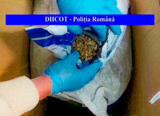 Trei inculpați arestați pentru contrabandă cu chihlimbar din Ucraina. Peste 600 de kilograme de pietre semiprețioase confiscate