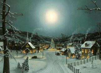 Au plecat la colindat și au fost mușcați de câinii unui localnic