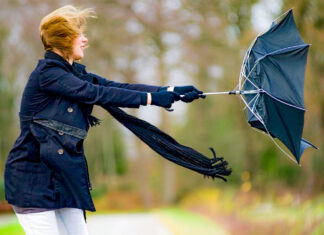 Cod galben pentru vânt puternic în Suceva și Neamț