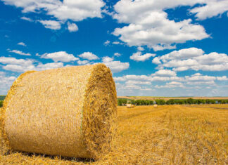 A uitat unde și-a lăsat baloții de fân și a sunat la poliție să-i trimită pe polițiști să îi caute. Ce a pățit suceveanul?