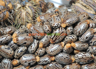 A vrut să își omoare cu ricină o rudă, comandând online o substanță interzisă. Vânzătorul însă era un agent la securității. Ce a pățit tânărul?