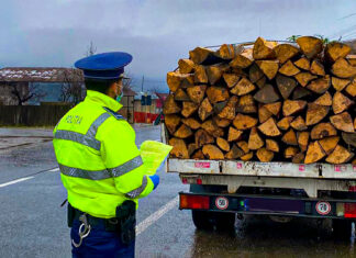 O autoutilitară din Suceava a fost confiscată de poliţişti pentru transport ilegal de material lemnos