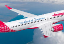 AnimaWings lansează ofensivă majoră pe piața internă: 90 de zboruri săptămânale și rute noi din octombrie